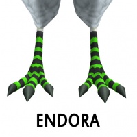 Endora