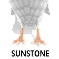 Sunstone