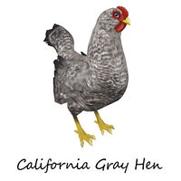 American Game Hen