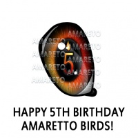 Happy 5thBirthday Amaretto!