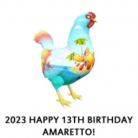 2023 Happy 13th Birthday Amaretto! Hen