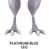 Platinum Blue