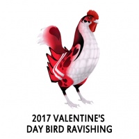 2017 Valentine's Day Bird- Ravishing Rooster