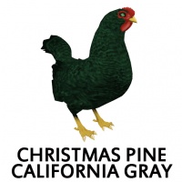 Christmas Pine California Gray Hen