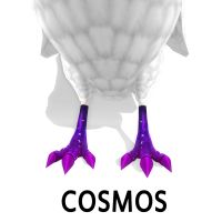 Cosmos