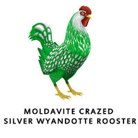 Moldavite Crazed Silver Wyandotte Rooster