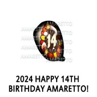 2024 Happy 14th Birthday Amaretto! Eye