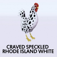 Craved Speckled Rhode Island White