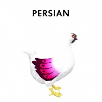 Persian