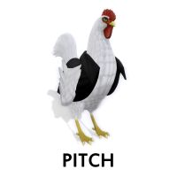 Pitch