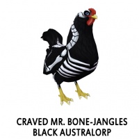 Craved Mr. Bone-jangles Black Australorp