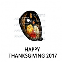 Happy Thanksgiving 2017 Eye