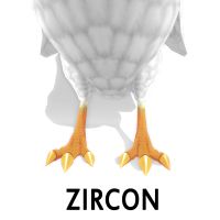 Zircon