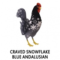 Craved Snowflake Blue Andalusian Rooster