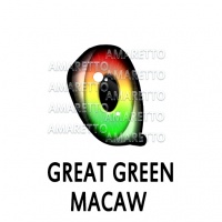 Great Green Macaw