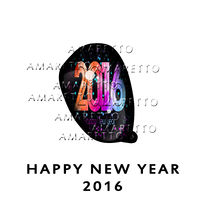 Happy New Year 2016