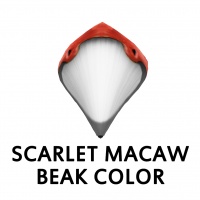 Scarlet Macaw