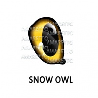 Snow Owl Eye