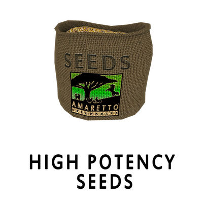 High Potency Seeds