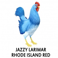 Jazzy Larimar Rhode Island Red Rooster