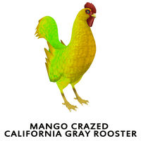 Mango Crazed Coat California Gray Rooster