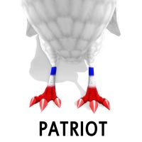 Patriot