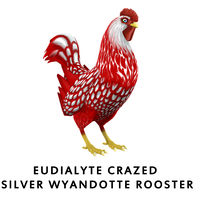 Eudialyte Crazed Silver Wyandotte Rooster