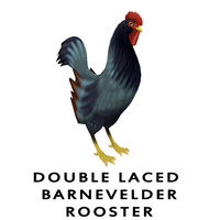 Double Laced Barnevelder Rooster