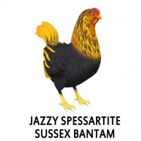 Jazzy Spessartite Sussex Bantam Hen