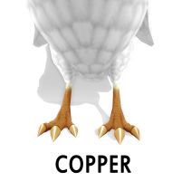 Copper