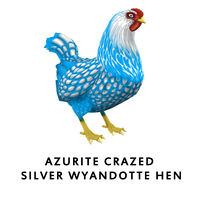 Azurite Crazed Silver Wyandotte Hen