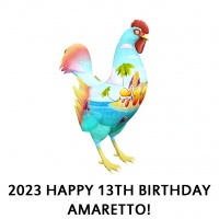 2023 Happy 13th Birthday Amaretto! Rooster