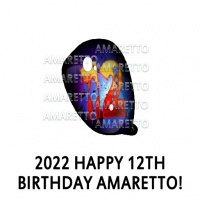 Happy 12th Birthday Amaretto! Eye