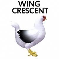 Wing Crescent