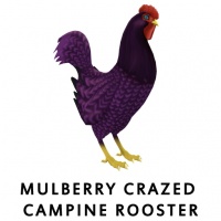 Mulberry Crazed Campine Rooster