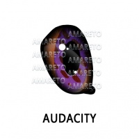 Audacity