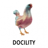 Docility Hen