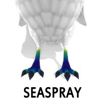 Seaspray