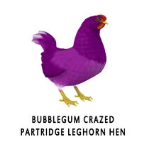 Bubblegum Crazed Partridge Leghorn Hen