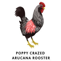 Poppy Crazed Arucana Rooster