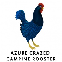 Azure Crazed Campine Rooster