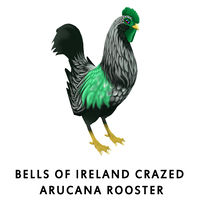 Bells of Ireland Crazed Arucana Rooster