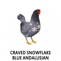 Craved Snowflake Blue Andalusian Hen