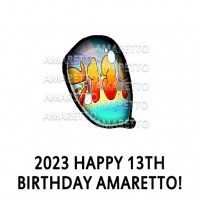 2023 Happy 13th Birthday Amaretto! Eye