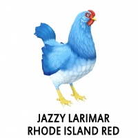 Jazzy Larimar Rhode Island Red Hen