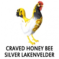 Craved Honey Bee Silver Lakenvelder Rooster