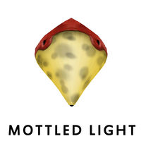 Mottled Light