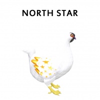 North Star