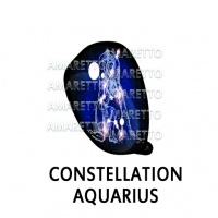 Constellation - Aquarius February 1 - February 28, 2021