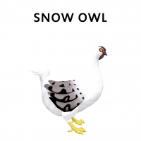 Snow Owl